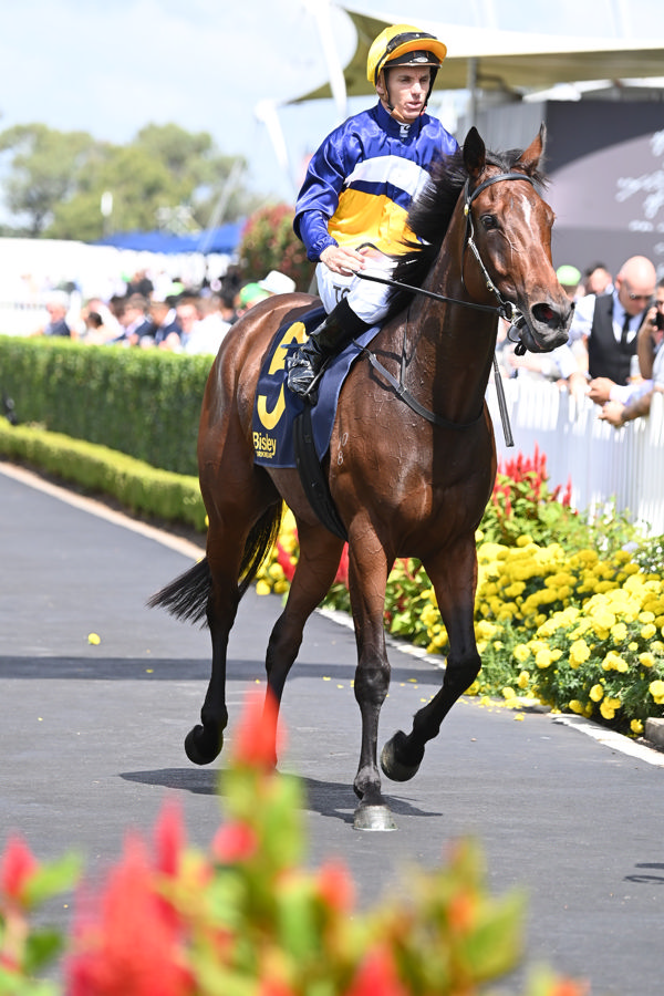 European imports having a day out at Rosehill (image Steve Hart)