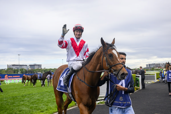 Few riding better than Blake Shinn (image Steve Hart)