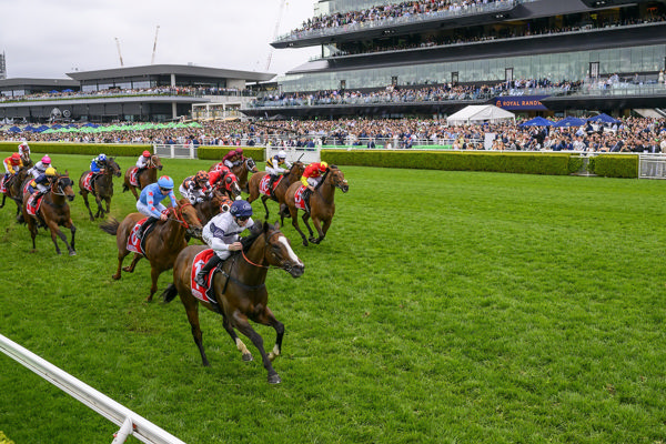 Overpass opens his account at Randwick (image Steve Hart)