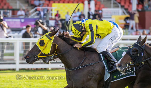 Own The Queen gets the job done (image Western Racepix)