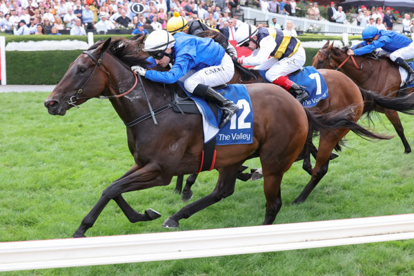 A valuable Group III for Parisal (image George Sal/Racing Photos)