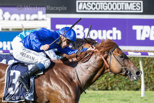 Perfectly timed ride by Ben Melham (image Western Racepix) 