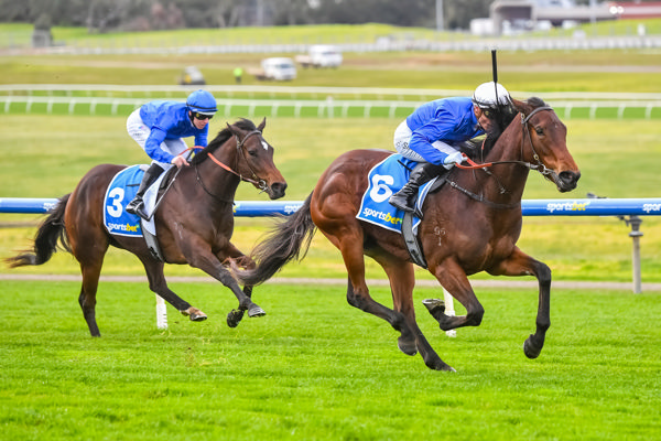 Photograph leads home a Godolphin quinella (image Pat Scala/Racing Photos)