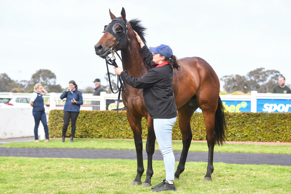 Pieris looks the part (image Pat Scala/Racing Photos)