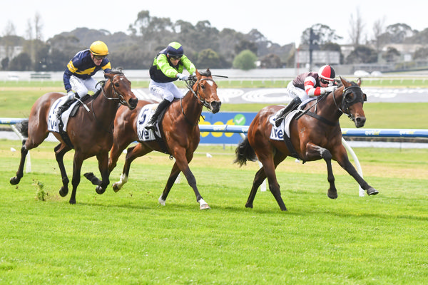 Pieris takes the shortest way home (image Pat Scala/Racing Photos)