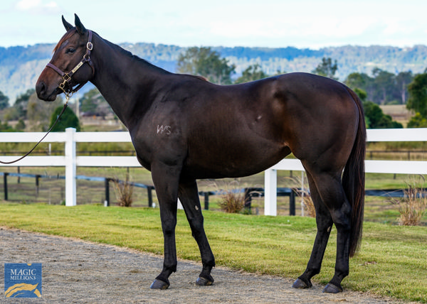 Planned Encounter a $23,000 National Broodmare purchase.