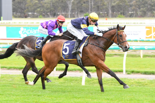 It's the Rupert Legh colours once again (image Brett Holburt/Racing Photos)