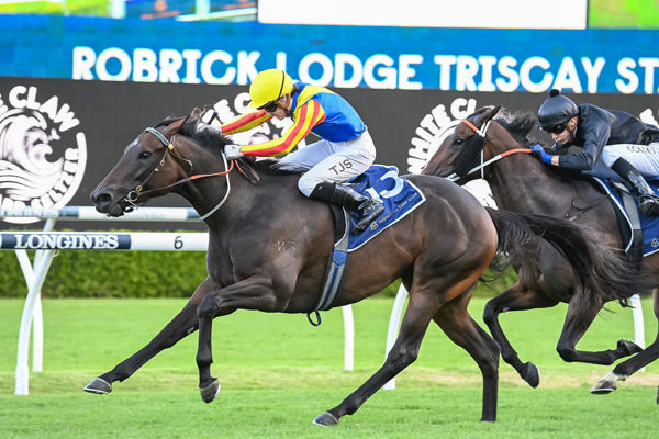Po Kare Kare wins the G3 Triscay Stakes - image Steve Hart