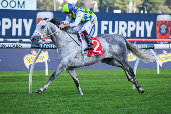 Polly Grey will lead the Waller charge - image Steve Hart