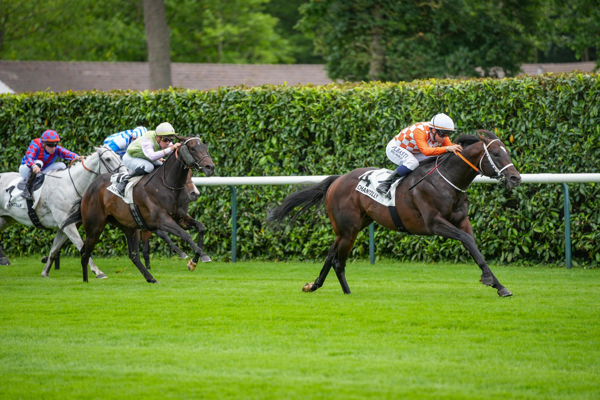 Ponntos in a class of his own (image Jour de Galop)