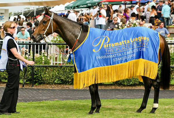 Andermatt is a son of the top-class mare Portillo - image Mark Smith
