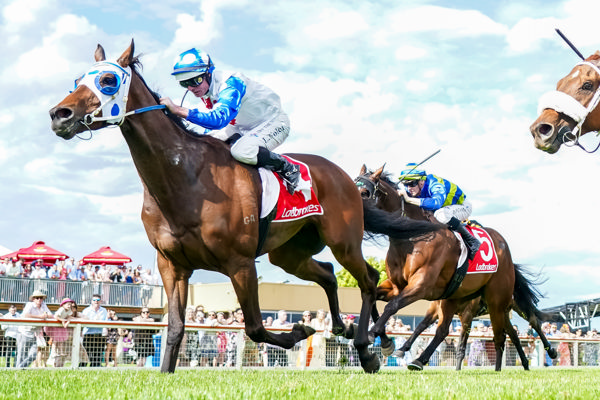 A long time between drinks for Pounding (image Scott Barbour/Racing Photos)