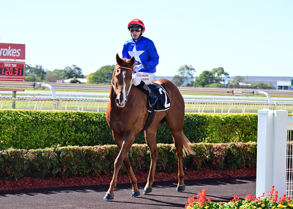 Power of The Brave (image Brisbane Race Club)