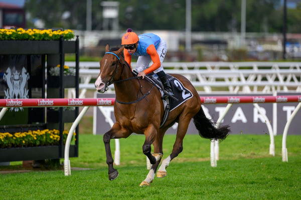 Prince Of Boom all alone (image Michael McInally/Racing Queensland)