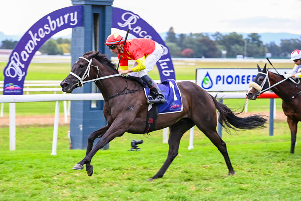 Is there a Group 1 in the spring for Princess Grace? (image Steve Hart)