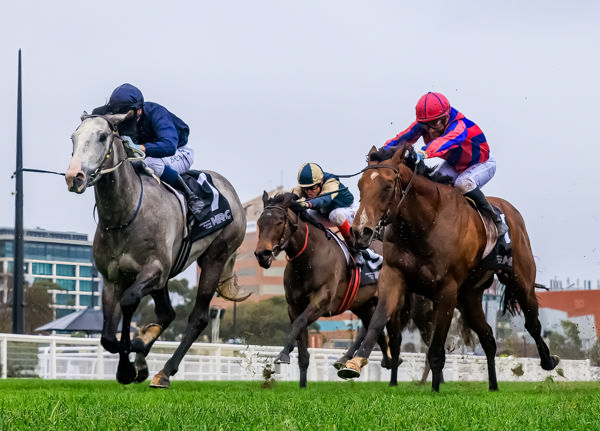 Public Attention excites on debut (image Grant Courtney)