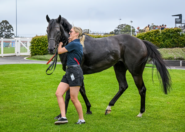 Plenty of dad in Punch Lane (image Racing Photos)