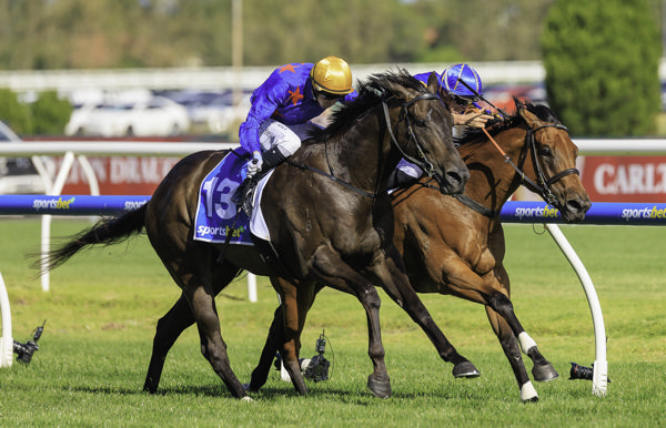 Queman (outside) gets up in a thriller (image Grant Courtney)