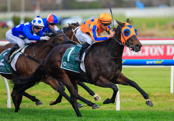 Quintessa wins the G3 Cockram Stakes - image Grant Courtney