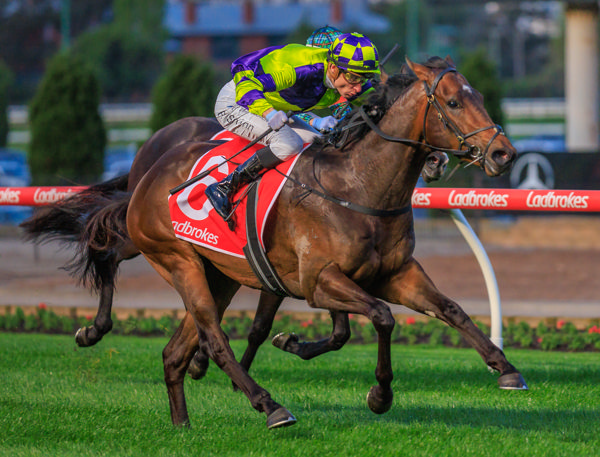 Stoli Bolli draws clear (image Grant Courtney)