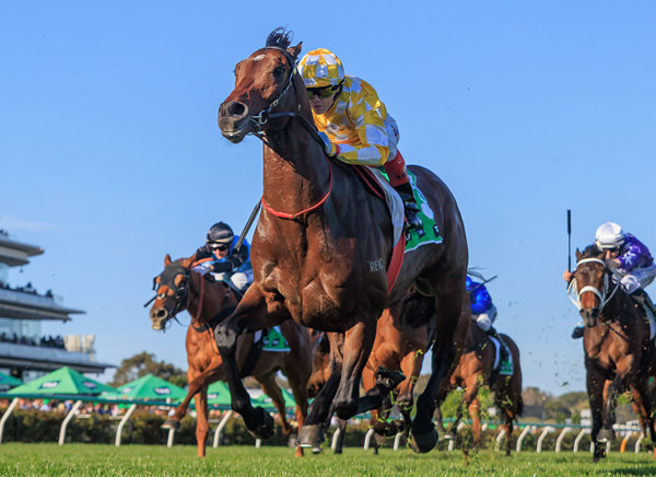 Consecutive G1 Wins For Sir Delius (GB) - Image Grant Courtney