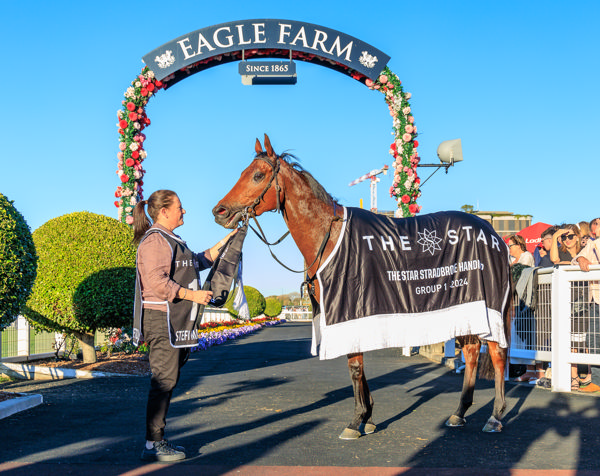 Stefi Magnetica was named Champion 3YO Filly - image Grant Courtney