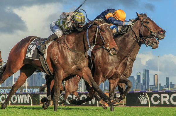 Arkansaw Kid (centre gold cap) does best in driving finish (image Grant Courtney)