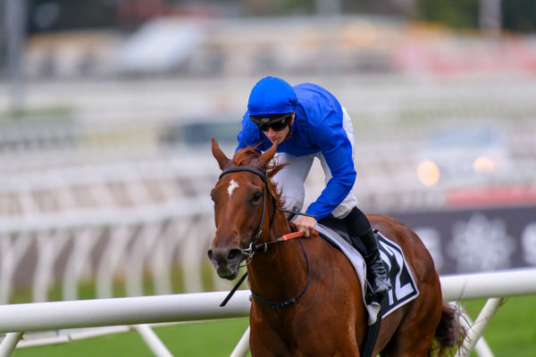 Red Card in red hot form (image Michael McInally/Racing Queensland)