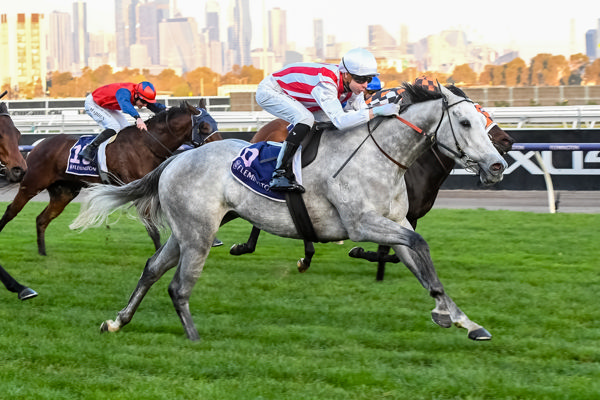 Right To Party motors home in the Creswick (image Brett Holburt/Racing Photos)