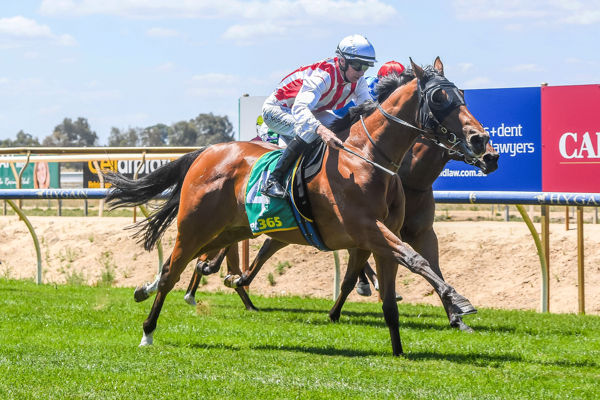 Great debut. Rocket Scientist mows them down (image Brett Holburt/Racing Photos)