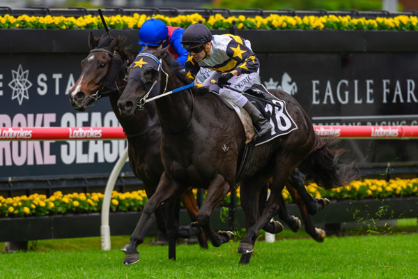 Timed to perfection (image Racing Queensland/Michael McInally)