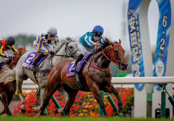Another international triumph for Romantic Warrior (image HKJC)