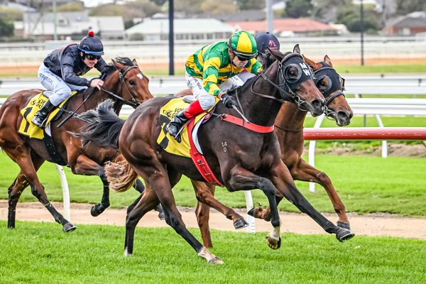 Rose Of Shalaa one for the locals (image Alice Miles/Racing Photos)