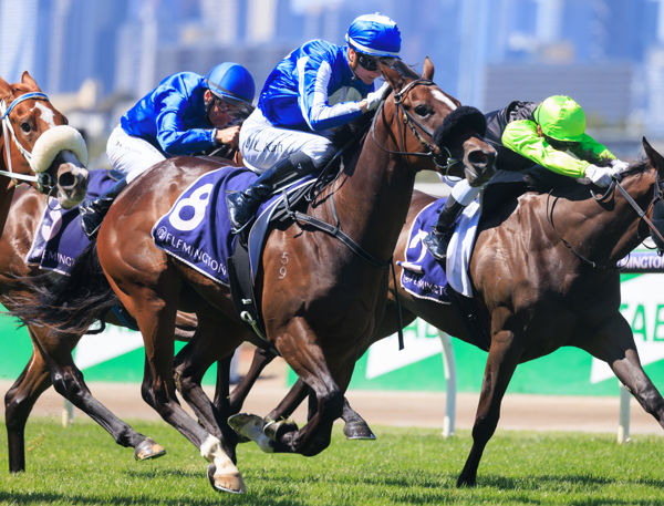 Ruthless Dame is another G1 winning mare to be offered at the Gold Coast next week.