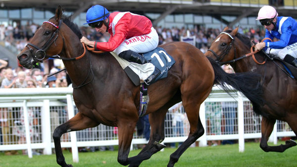 A just reward for Sacred (Exceed And Excel) in Hungerford Stakes (image Sporting Life)