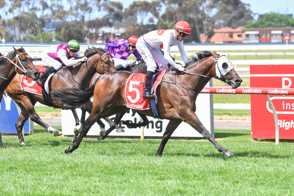 Saint Emilion.does it with ease (image Pat Scala/Racing Photos)