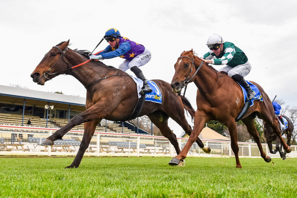 Salsa Fellow gets the better of Controlled Zone (image Pat Scala/Racing Photos)