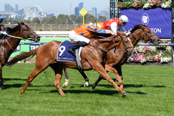 Sans Doute comes with barnstorming finish (image Ross Holburt/Racing Photos)
