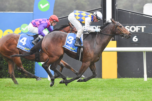Savannah Chill Was An Impressive Debut Winner - Image Racing Photos