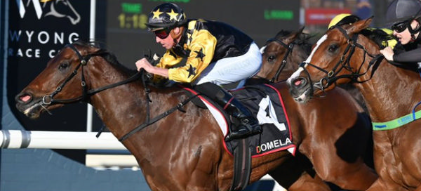 The gap arrives in time (image Wyong Race Club)