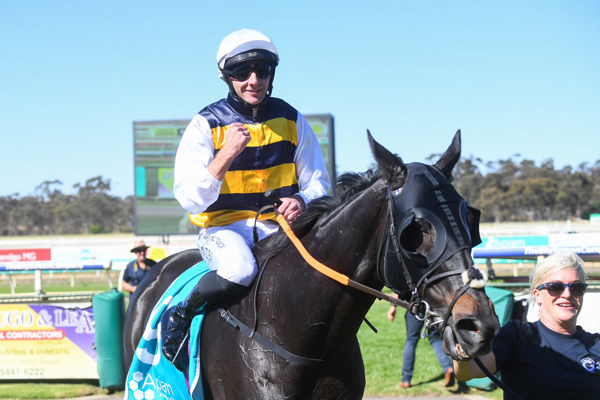 Sea King - Declan Bates (image Country Racing/Racing Photos)