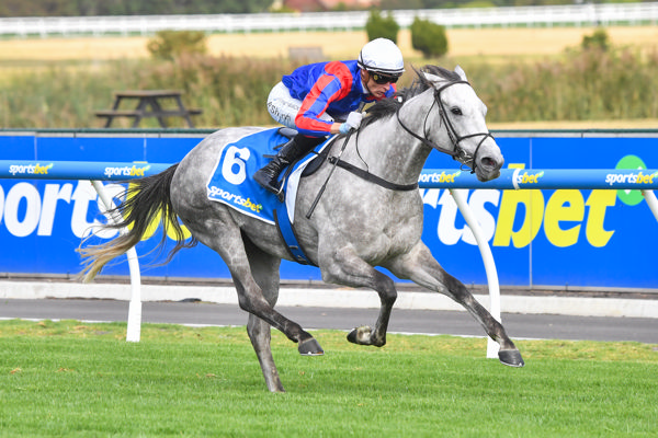 Five on the bounce for Sea What I See (image Pata Scala/Racing Photos)