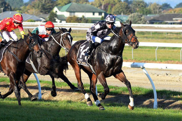 Chris Dell guides Sergio to an all-the-way win in the Listed Manawatu ITM Anzac Mile (1600m) at Awapuni Photo Credit: Race Images – Peter Rubery