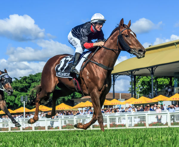 Timely win for Sheeza Belter (image Grant Courtney)