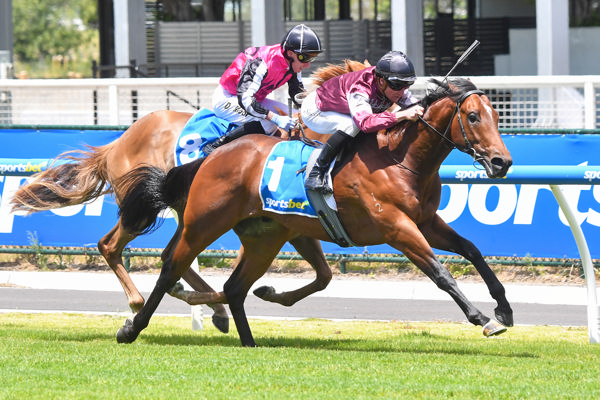 Shining Smile fights off the stubborn Meisho (image Pat Scala/Racing Photos)