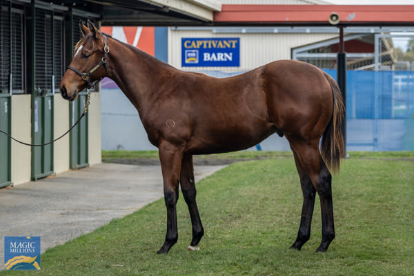 Shining Smile a $160,000 National Sale weanling