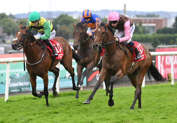 Sigh No More blitzes them (image Galway Races)