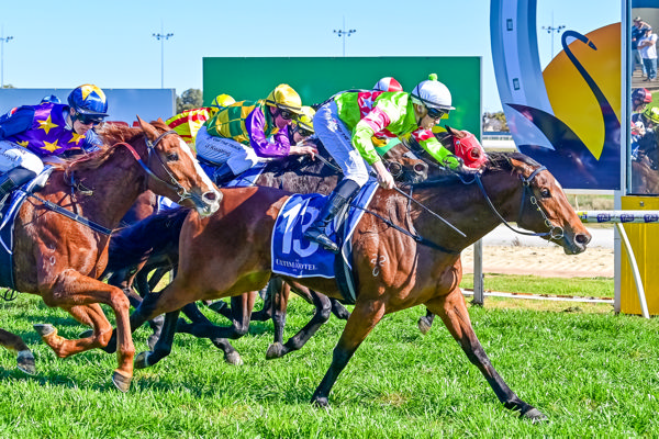 Single 'N' Ready arrives in time (image Brendan McCarthy/Racing Photos)