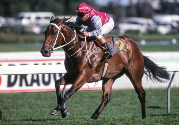 Snippets won the first Magic Millions 2YO Classic and three more G1 races.