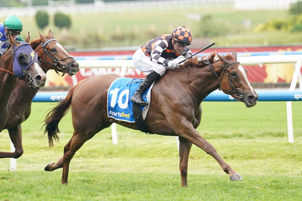 Snitzanova digs deep (image Scott Barbour/Racing Photos)